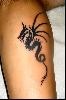 tribal tattoo tribal tattoo